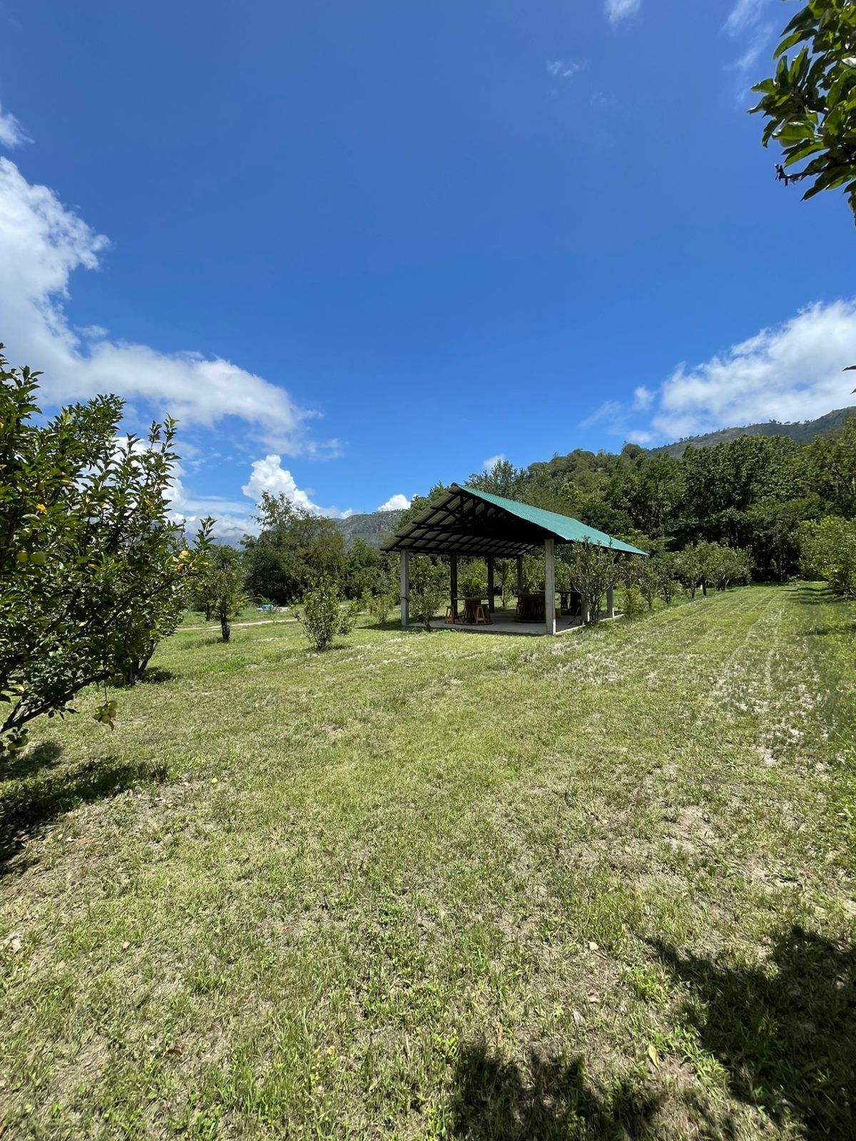 Área Principal de Camping 1