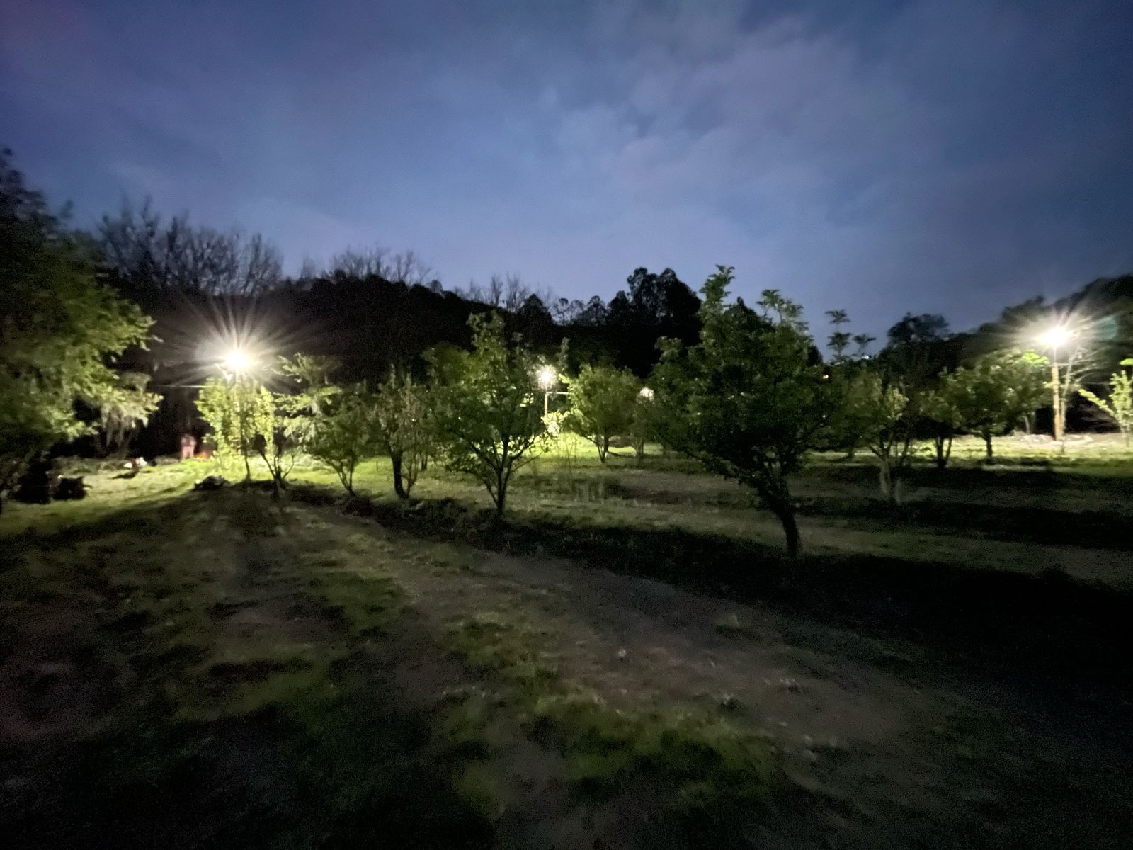 Área Principal de Camping 4